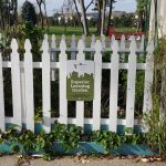 Learning garden at old Superior branch