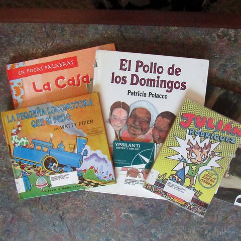 Book Bundles - Ypsilanti District Library