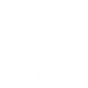 YDL logo
