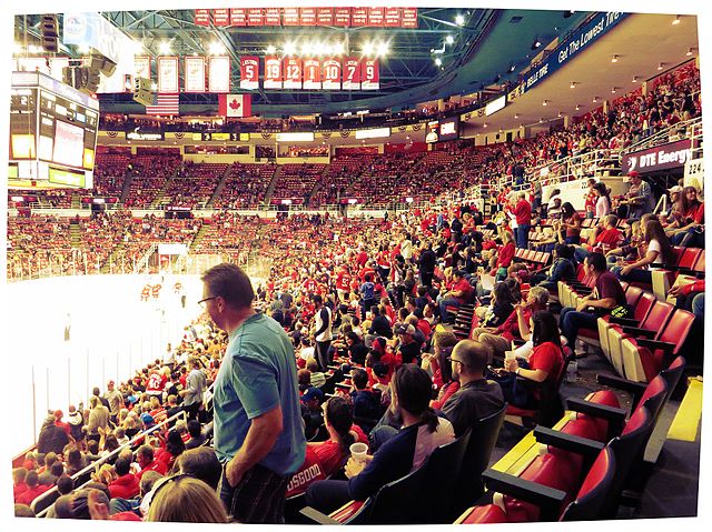 Use Your Library Card to see the Detroit Red Wings!