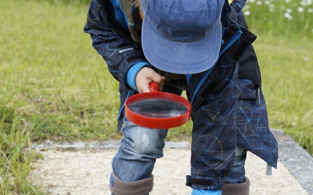 Explore the Outdoors with New STEM Kits