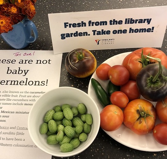 vegetables fruit