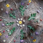 Image of a mandala. A series of sticks and green leaves around another ring of flowers in the center.