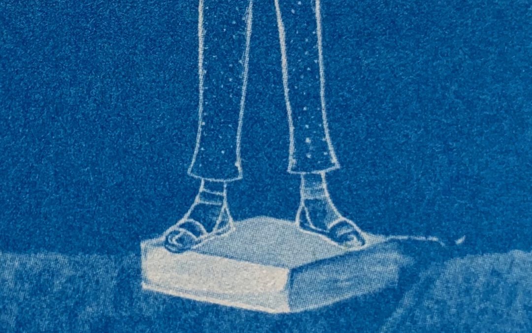 Chapter 8: Ookabooka Land