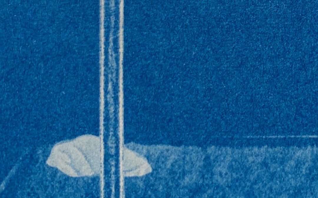 Chapter 10: The Broom Dog