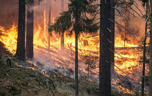 FIRE
