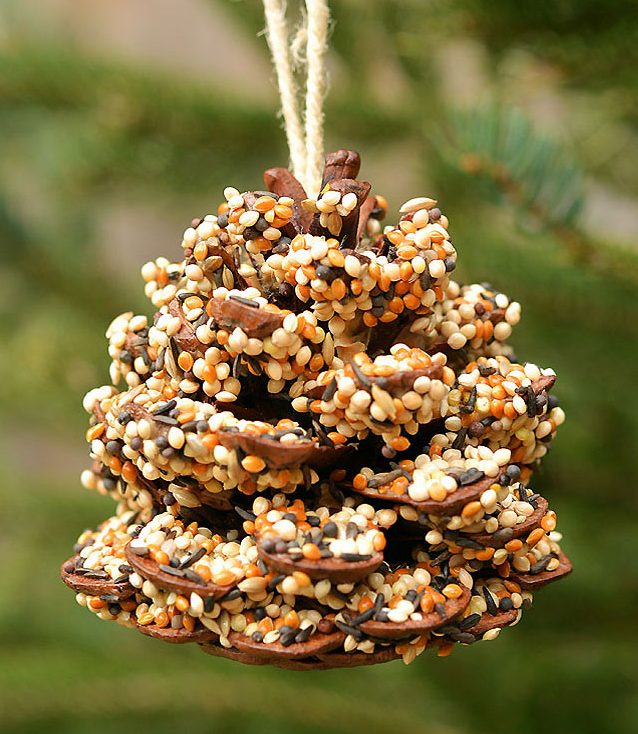 PINECONE BIRDFEEDER