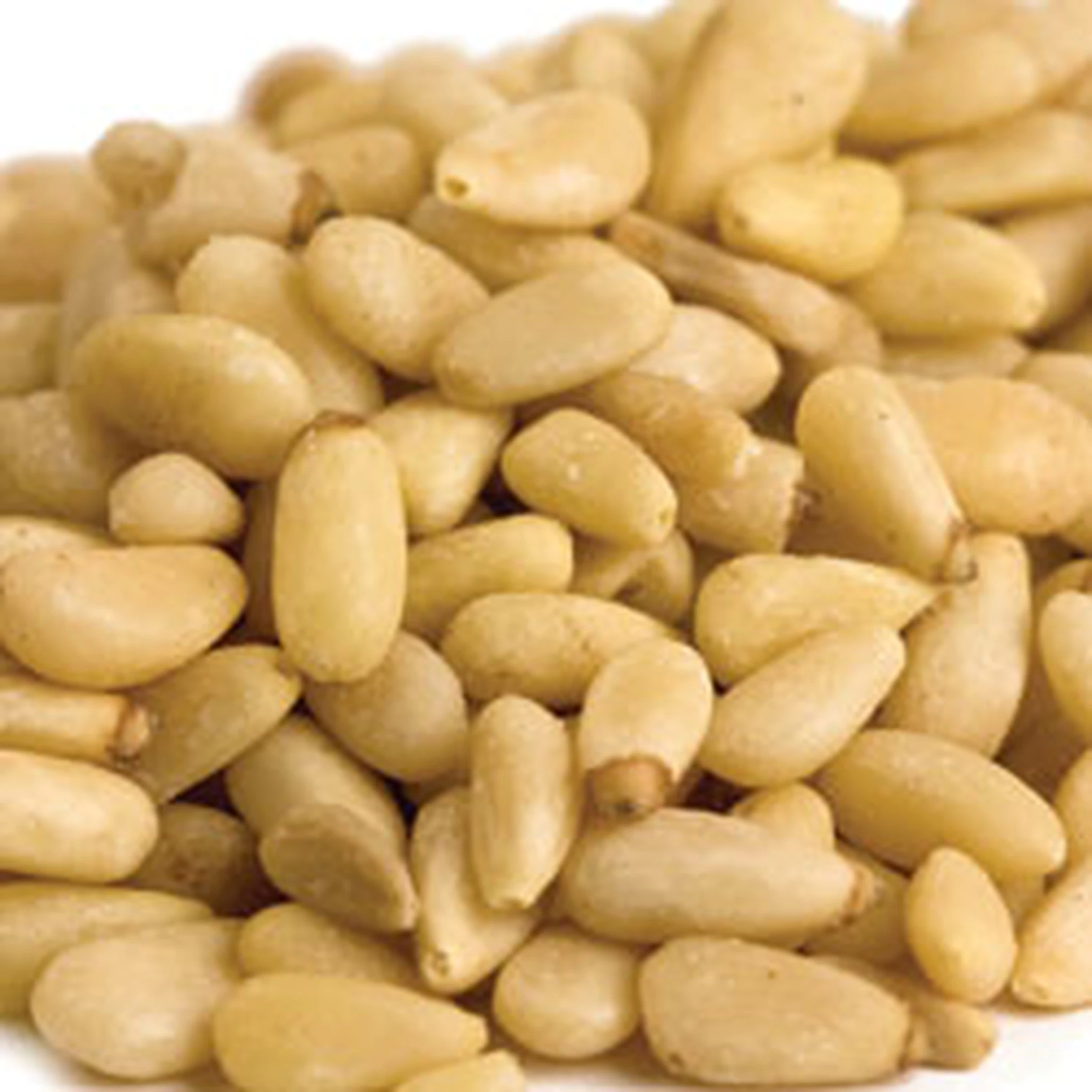 pinenuts