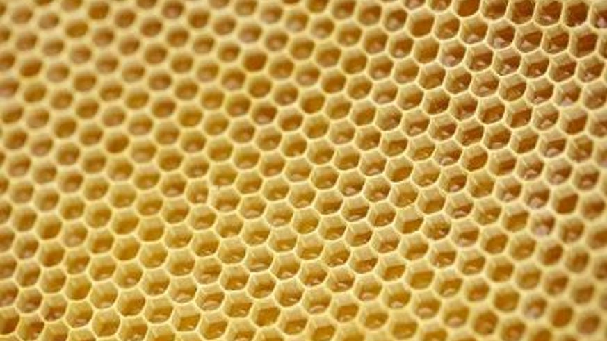 honeycomb (1)