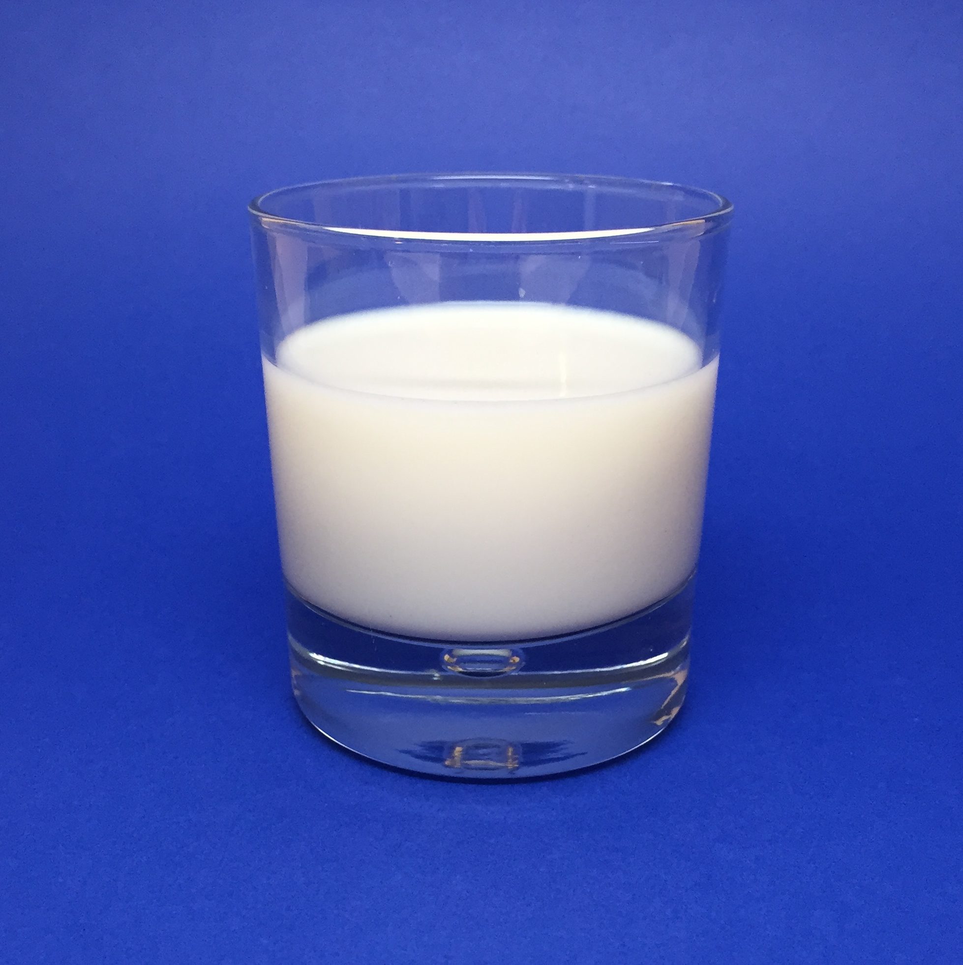 a glass of white milk on a royal blue background