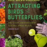Attracting Bird & Butterflies: How to plant a backyard habitat to attract winged wildlife by Barbara ellis