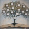 Family tree representation. Tree growing out of open book, with picture frames on the branches.