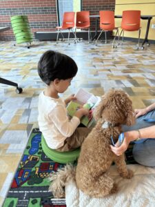 child reading a book to a curly-haired tan dog