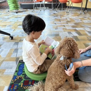 child reading a book to a curly-haired tan dog